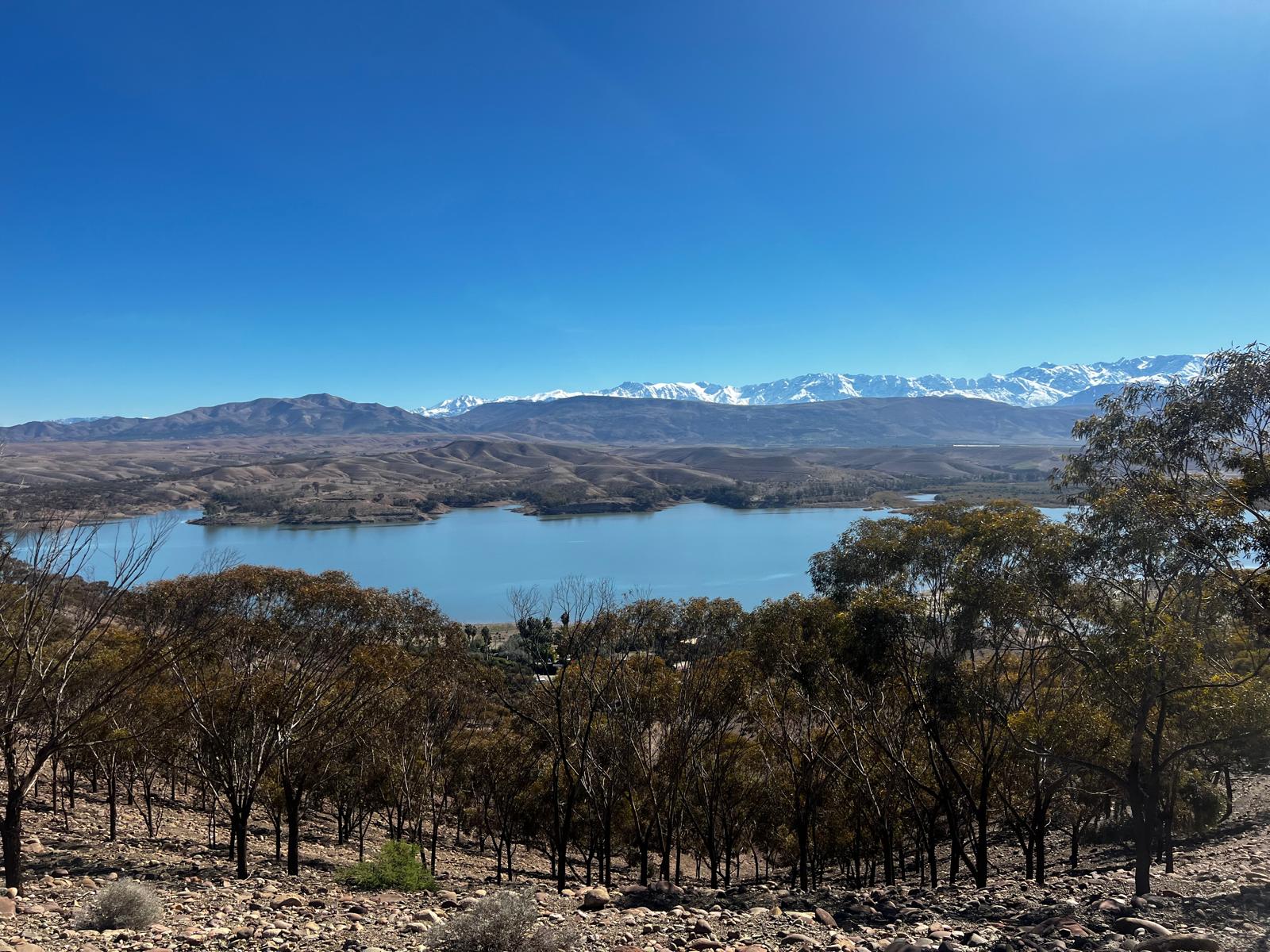 Description de l'image