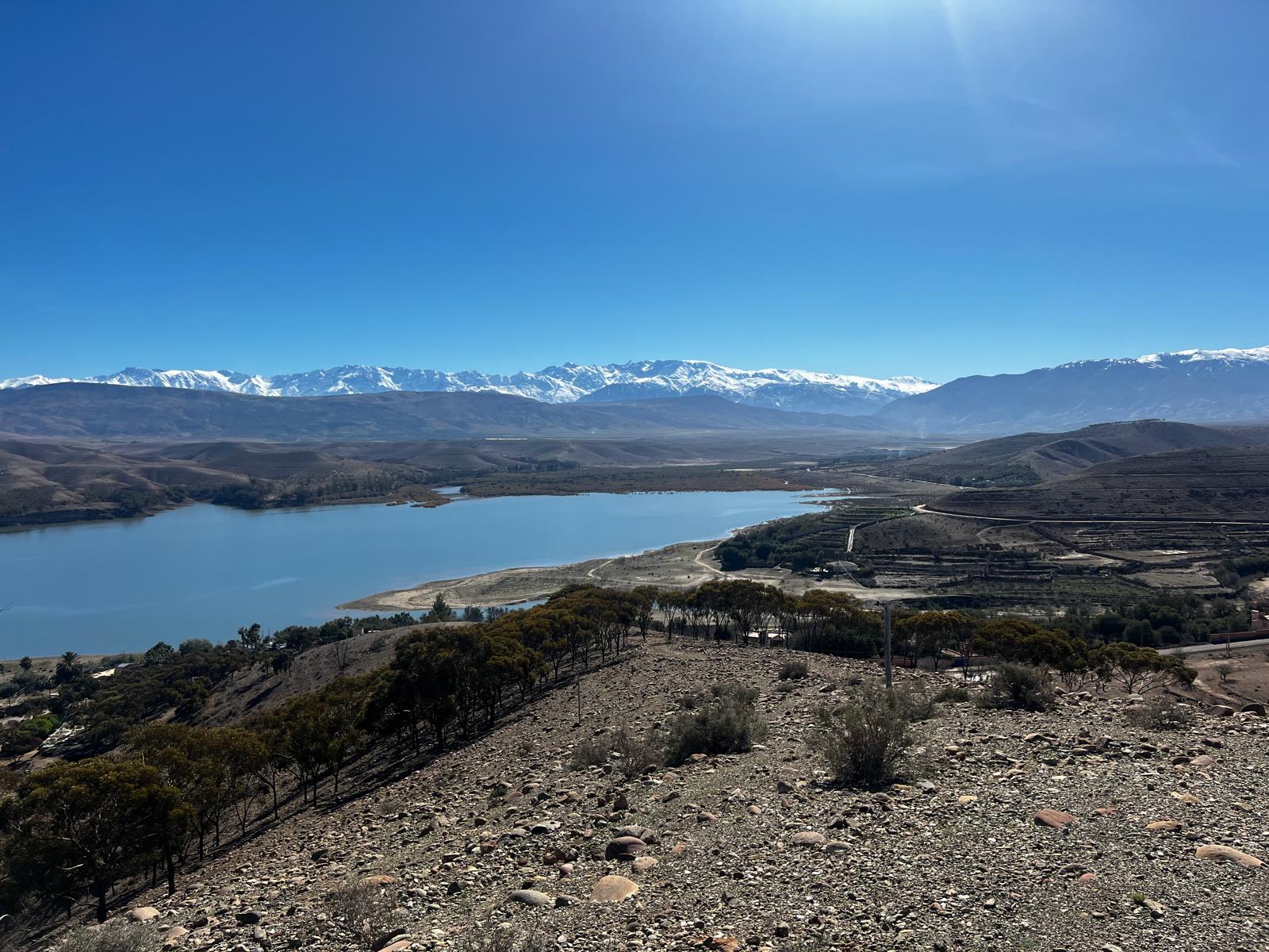 Description de l'image