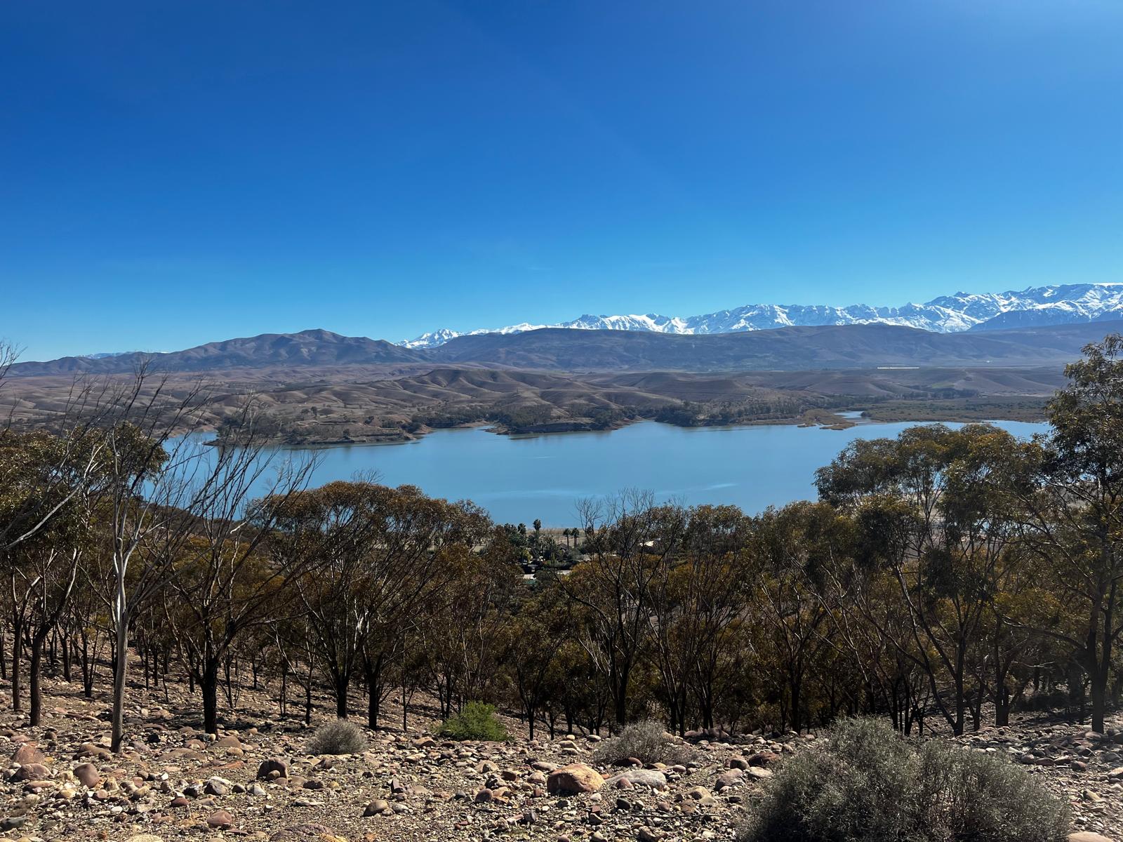 Description de l'image