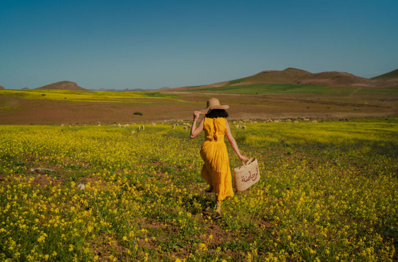 Description de l'image